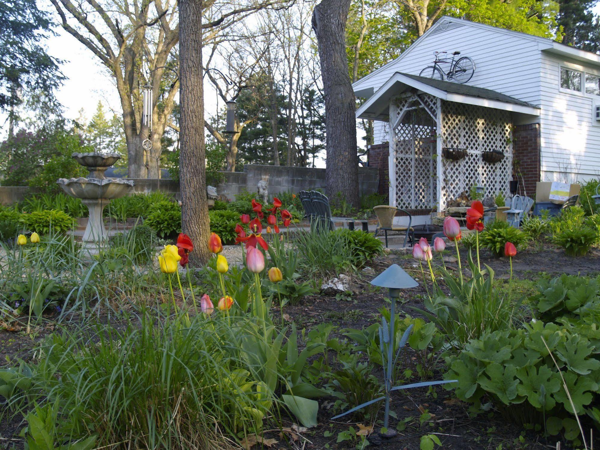 Oak Park Inn Whitehall Exterior photo